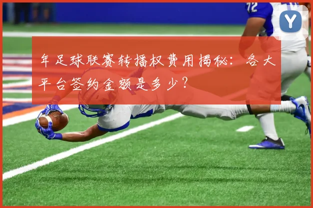 年足球联赛转播权费用揭秘:各大平台签约金额是多少?